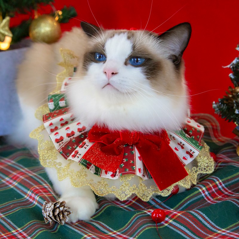 狗狗猫咪圣诞围脖新年过年圣诞节装饰品宠物口水巾冬季保暖围巾兜