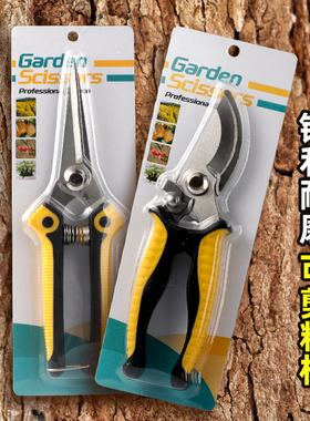 修枝剪园艺剪刀果树剪刀花艺修花修剪园林花卉枝剪刀粗大果枝花剪