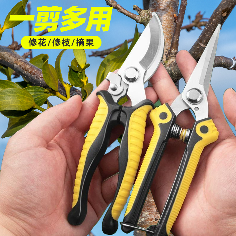 修枝剪园艺剪刀果树剪刀花艺修花修剪园林花卉枝剪刀粗大果枝花剪