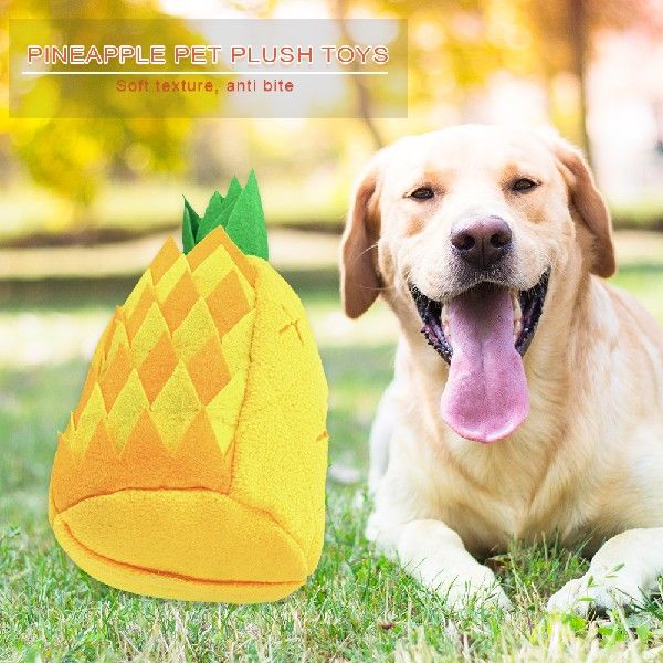 Warm Life 2021 Pineapple Pet Plush Mat Sniff IQ Molar Teeth