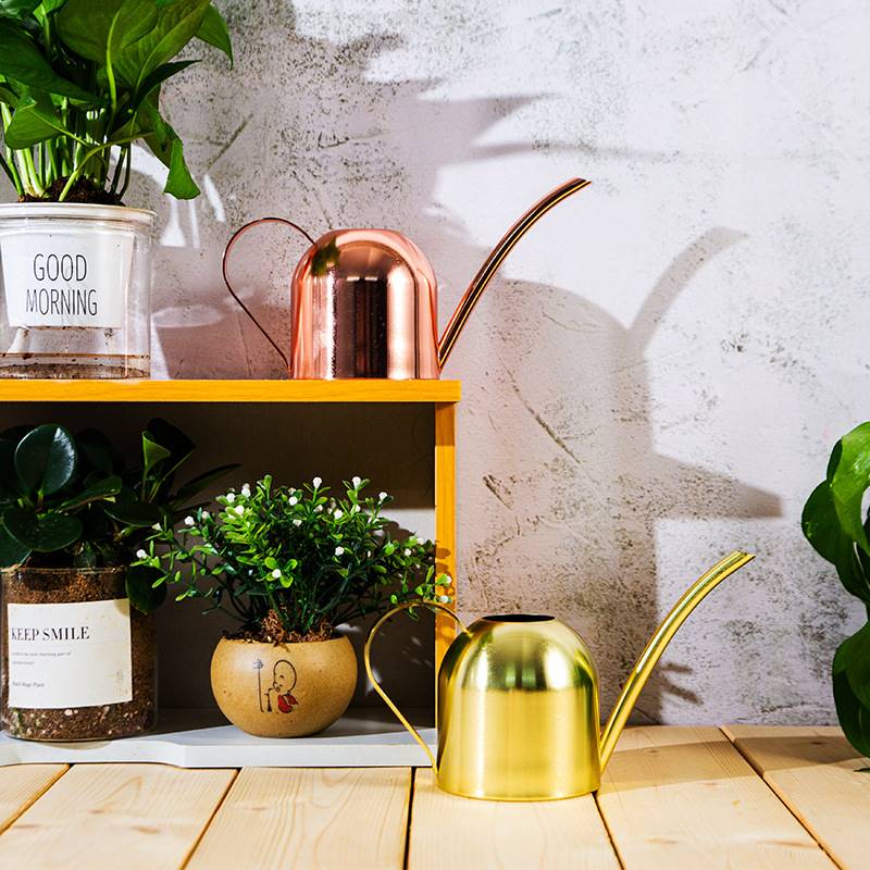喷壶浇花不锈钢长嘴壶金属绿植喷水壶金色浇水壶小型洒水壶园艺50