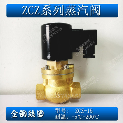 好货4分先导式蒸汽电磁阀常闭ZCZ-15 活塞式高温全铜AC220V DC24V