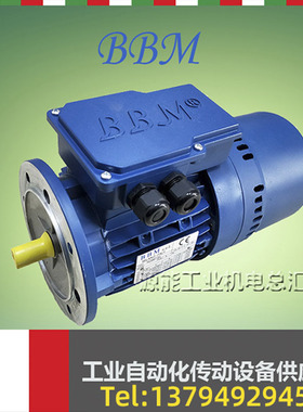 BBM刹车电机REBM63B4 71B4 80B4 90L4 100LA4 112M4 132MA4 立式