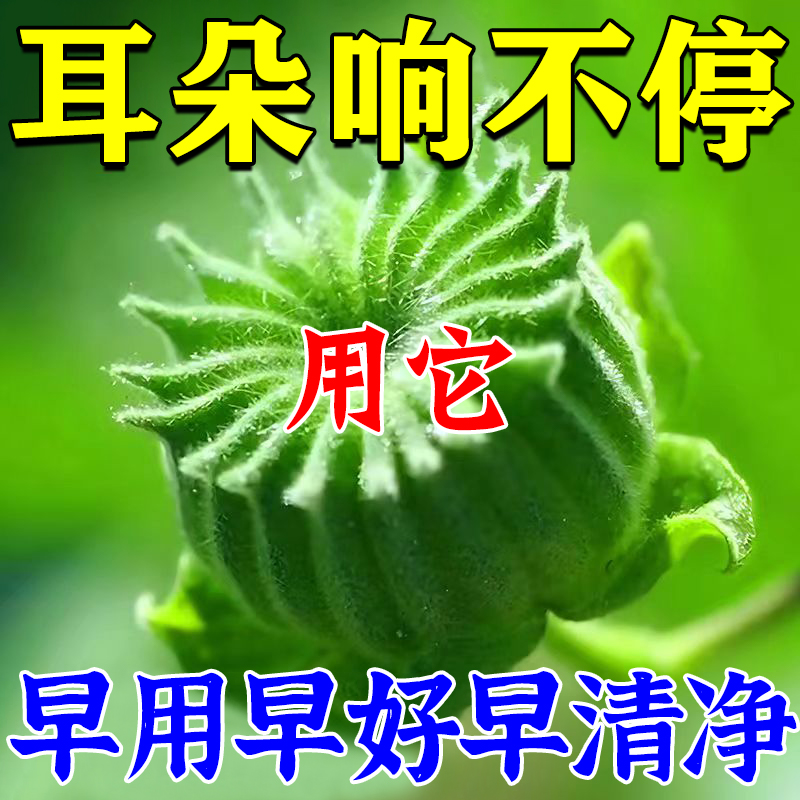 【当晚耳不鸣】十万人都在用 耳不鸣耳不嗡 洱部健康 多买多送