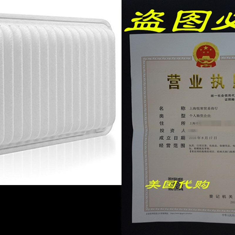 Weize CA9360 Engine Air Filter Extra Guard Rigid Panel Repl