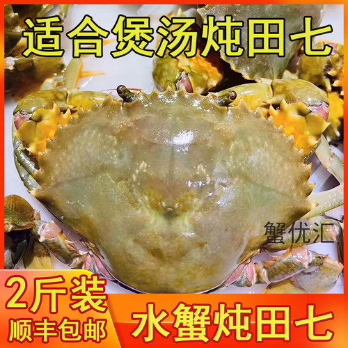 渔民水蟹(2斤装/3-6只)帕蟹海螃蟹鲜活海鲜煲汤炖田七专用包顺丰