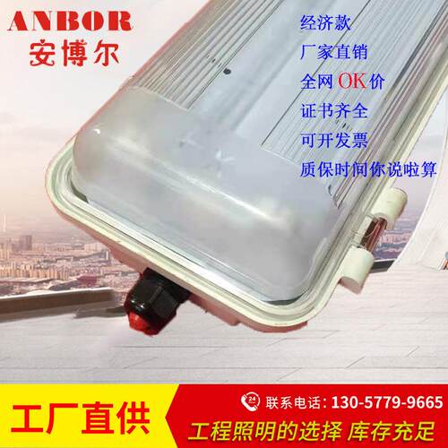 led吸顶式粉尘防爆防腐全塑荧光灯YS-2*36双管防水防尘AY经济款