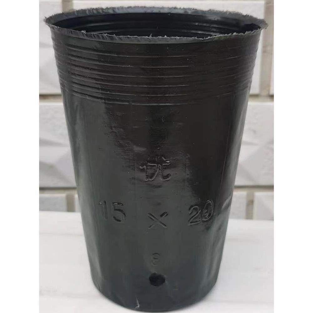 加高营养钵高桶脐橙柑橘苗方口育苗钵圆口育苗杯黑色塑料盆树苗杯