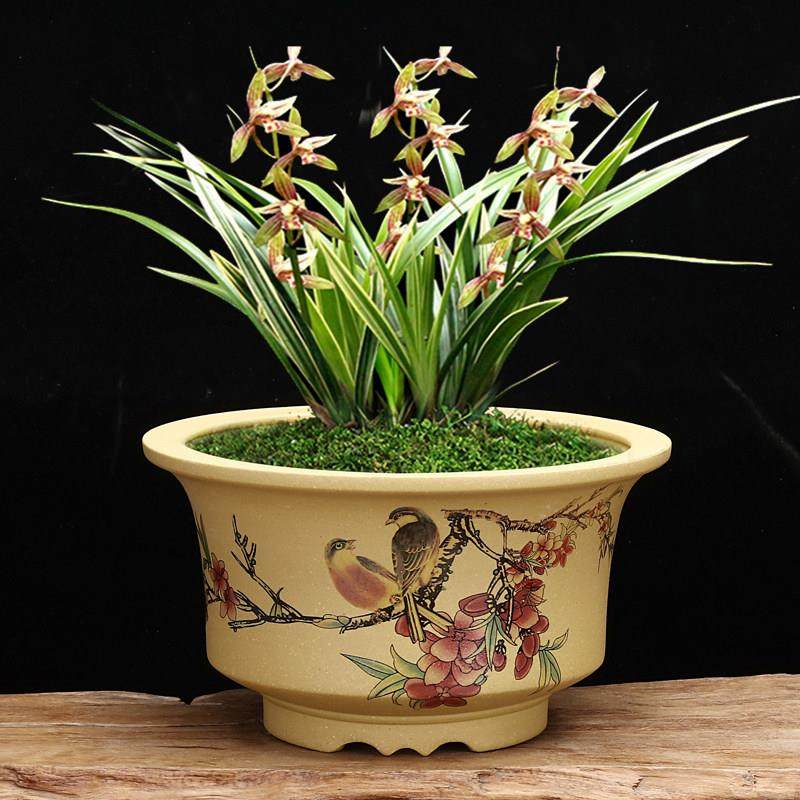 紫砂兰花盆精品圆形老桩多肉植物菖蒲专用发财树文竹阳台桌面包邮,鲜花速递/花卉仿真/绿植园艺,花盆,淘宝优惠券,粉丝福利购,淘宝优惠卷