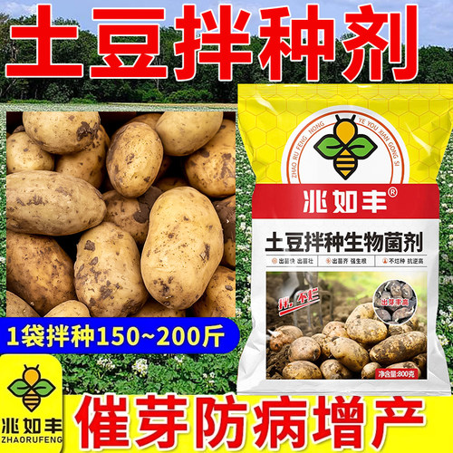 胖土豆拌种剂地瓜马铃薯专用菌剂