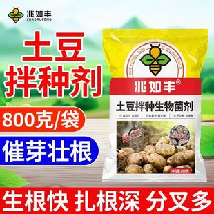 土豆拌种剂防病抗菌防虫高产包衣剂提高出芽率生根壮苗肥料