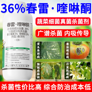 春雷霉素喹啉酮杀菌剂蔬菜地黄瓜角斑番茄晚疫辣椒疮痂病农药正品