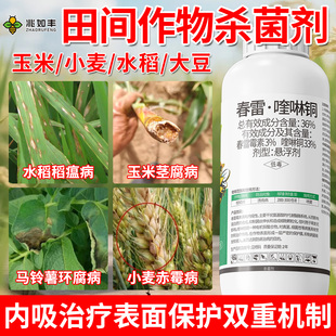 春雷霉素喹啉酮杀菌剂水稻玉米小麦细菌真菌病害专用农药正品大全