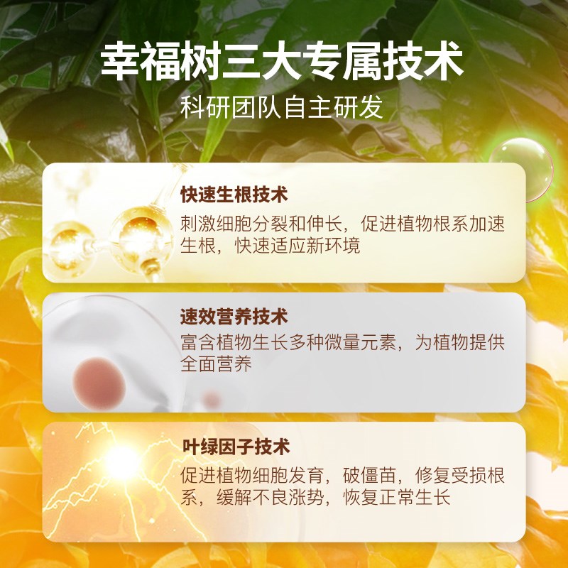 幸福树专用营养液肥料急救治黄叶落叶黑斑防掉叶干枯花肥盆栽液体