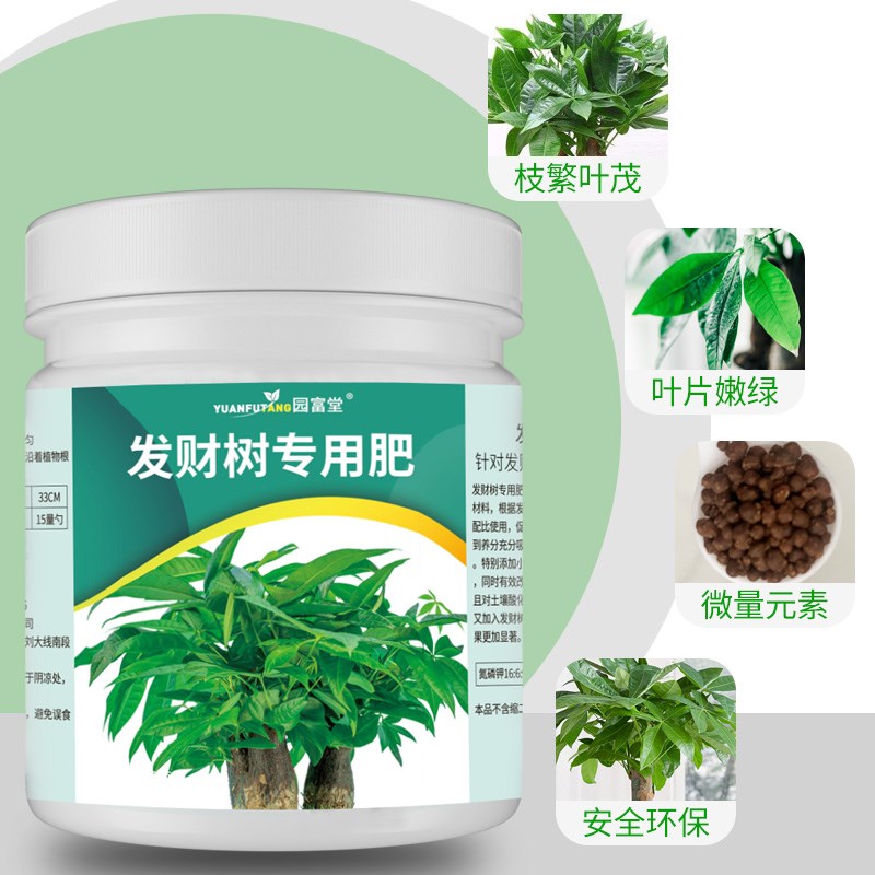 发财树肥料专用肥家用绿植通用营养液发黄盆栽壮根苗室内花卉枯叶