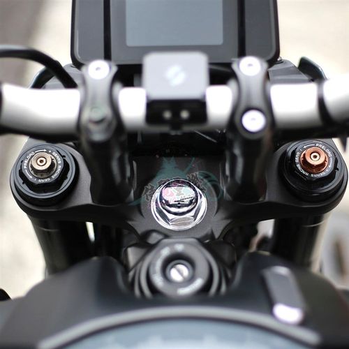 GEARS集亚 适用山叶MT09 V3 改装前叉弹簧内管气瓶后避震避震