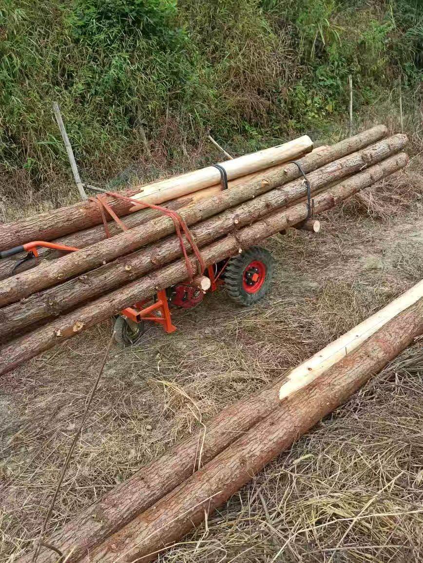 车车汽油动平板三轮果园鸡轮公车工地手用推车山地农独车运输电车
