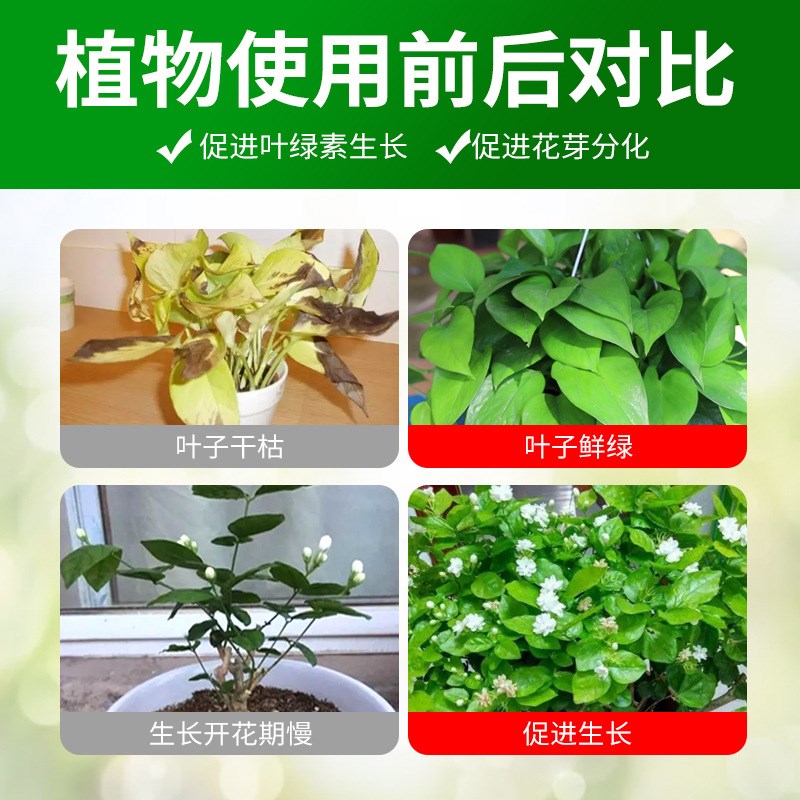 免稀释全植物营养液绿萝发财树花卉绿叶生长通用水溶肥盆栽用花肥