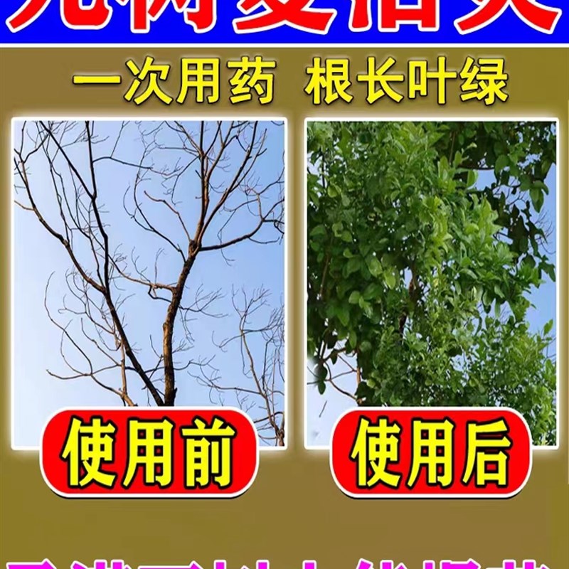 植物通用活力素大树成活营养液树木枯树复活生根药水强力生根粉