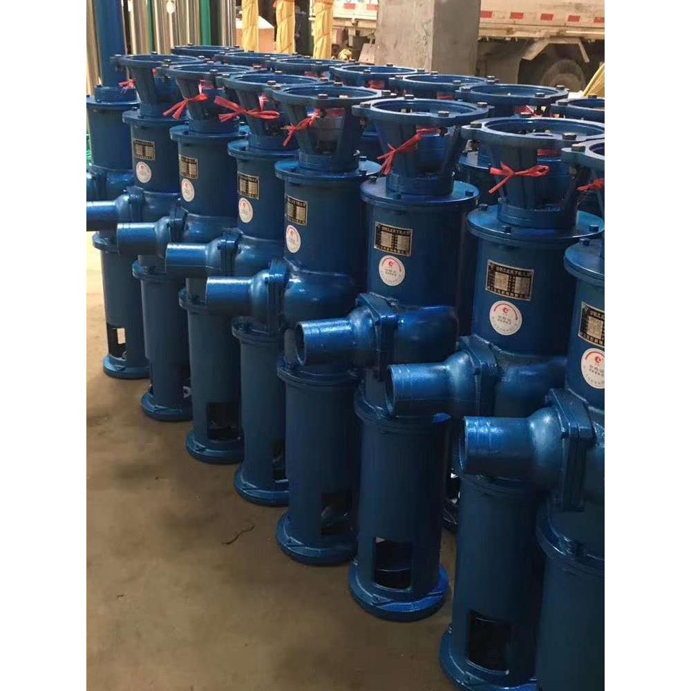 抽粪泵养殖场专用全佑泥浆泵清淤泵干湿分离机绞龙蛟龙吸粪泵铸铁