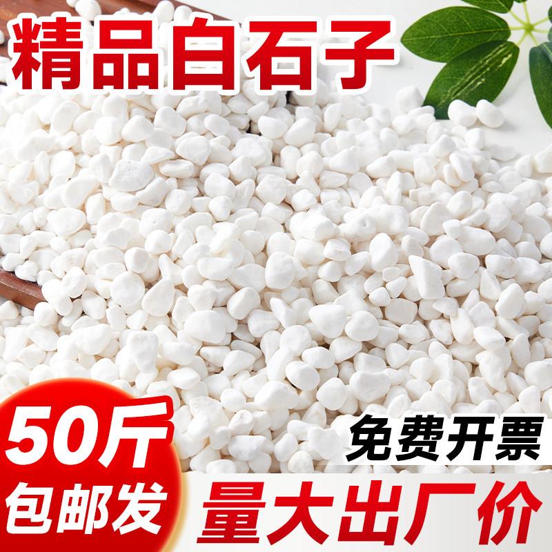 白石子南京雨花石天然原石鱼缸石头子铺底白色鹅卵石颗粒铺路造景