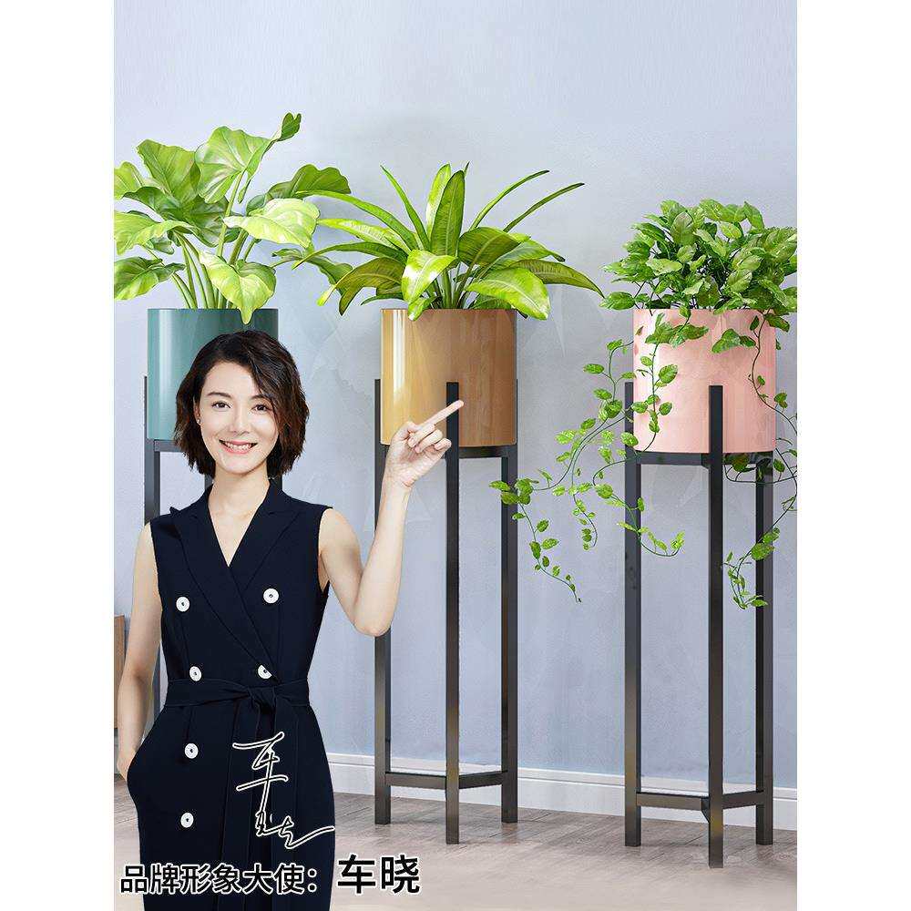 花架北欧室内家用阳台装饰置物架子铁艺客厅简约花盆植物挂架绿萝