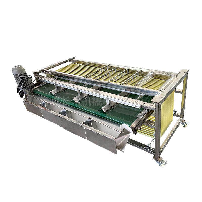 西红柿蔬菜分选设备商用轨道式葱头分选机秋月梨橘红分拣机