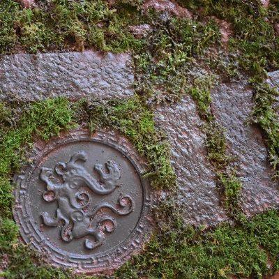 黄缘龟专用造景保湿天然手工小陶砖安缘饲养箱布景黑陶砖装饰垫材