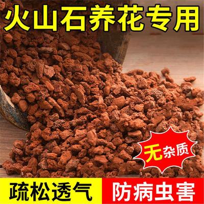 火山石颗粒养花专用多肉家