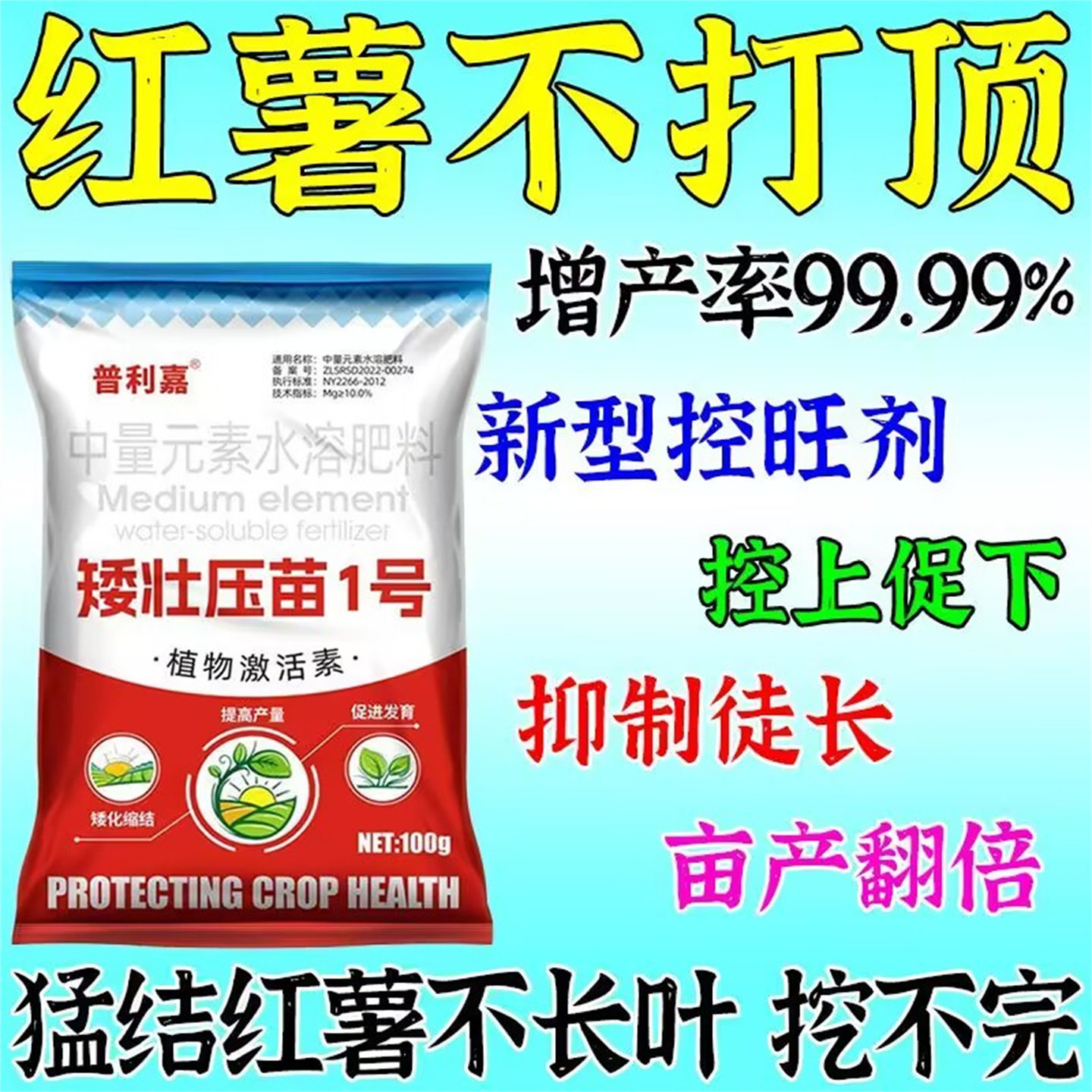 【红薯不打顶】化灵控旺只长红薯