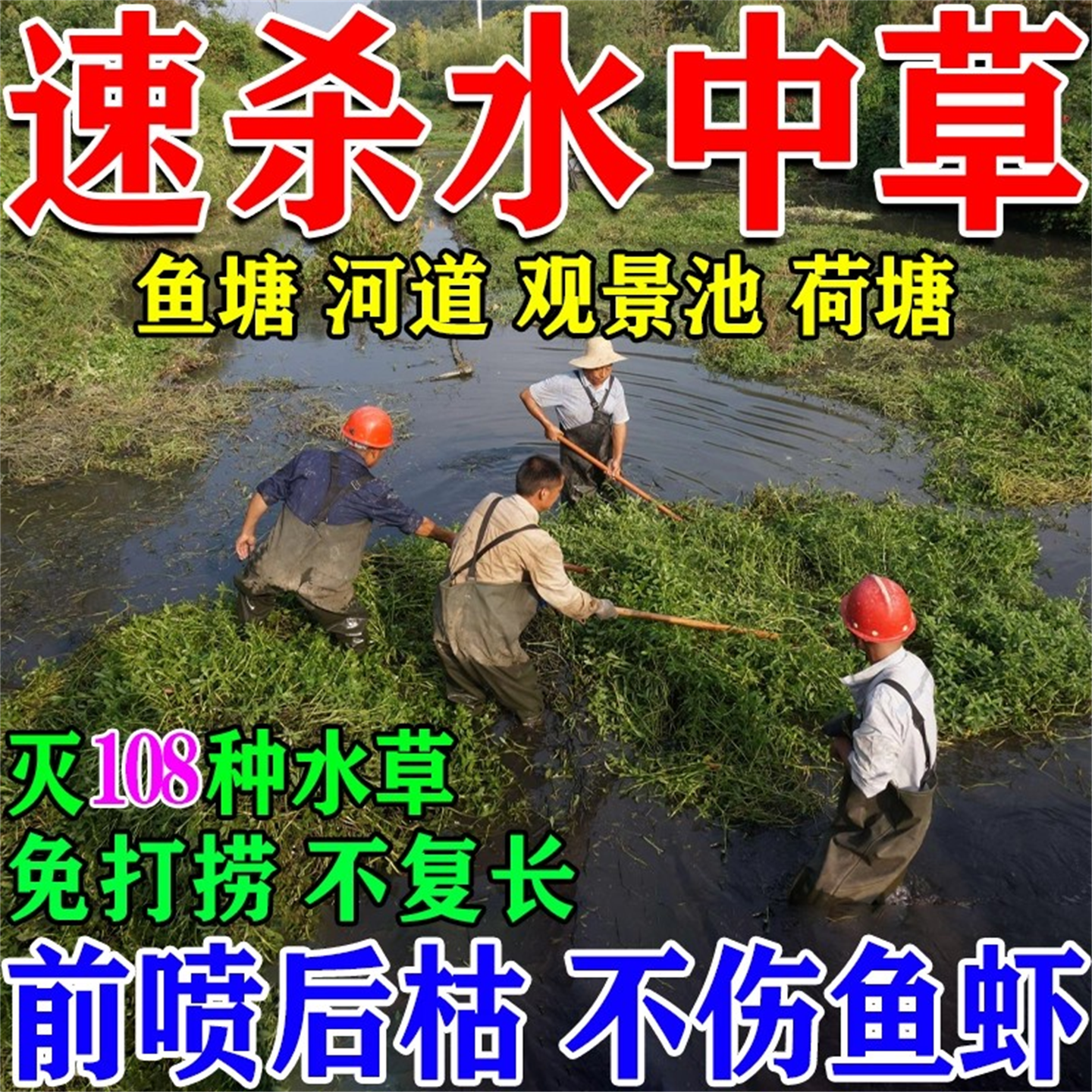 鱼塘除水草烂根剂专用药池塘河道