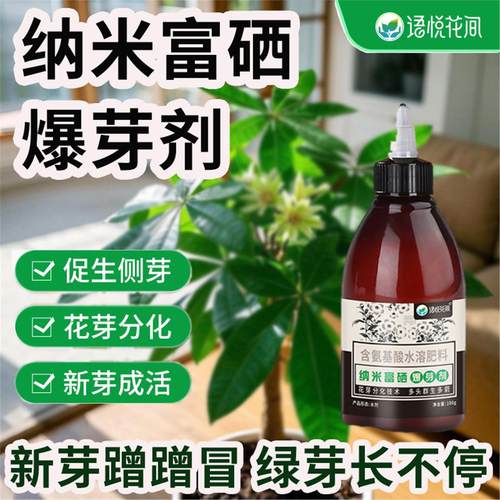发财树催芽素生根花分化促