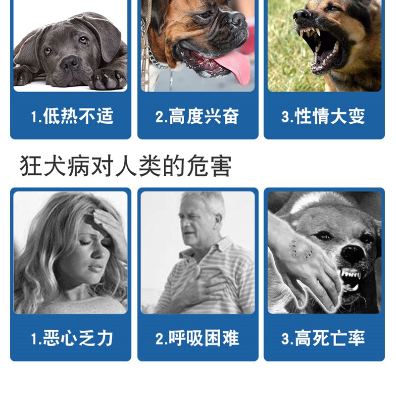 狂犬病试纸检测卡RBV狂犬抗原猫咪宠物狗狗测试病毒试纸恐水怕风