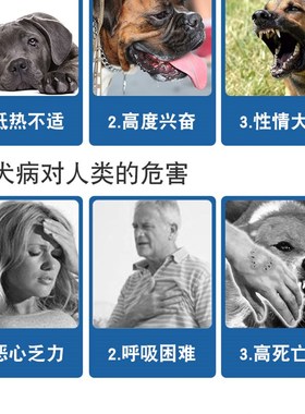 狂犬病试纸检测卡RBV狂犬抗原猫咪宠物狗狗测试病毒试纸恐水怕风