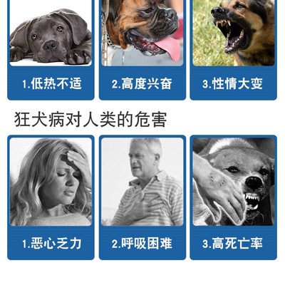 狂犬病试纸检测卡RBV狂犬抗原猫咪宠物狗狗测试病毒试纸恐水怕风