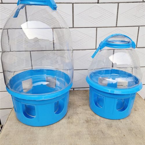 鸽子饮水水壶自动喂水器 信鸽赛鸽 鸟类喂水水槽 鸟水壶鸽子用品
