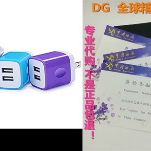 Ehoho Pack USB Charger 2.1A Ada Wall