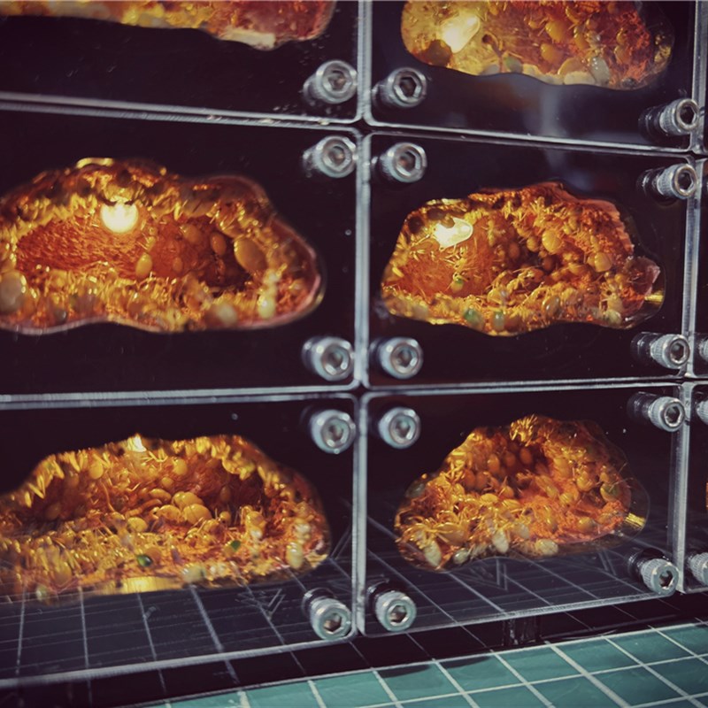 天空城D版 宠物蚂蚁工坊笼子繁活体蚁巢亚克力沙巢家园别墅宫殿