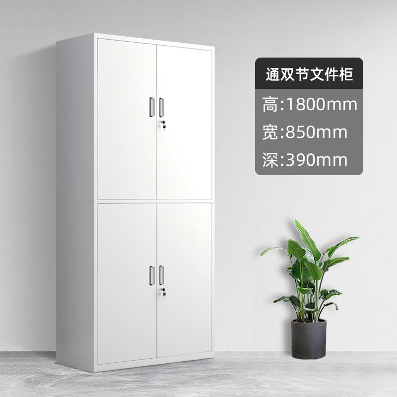 新品文件柜档f案存放柜办公档案柜办公室铁皮钢制财务凭证柜员工
