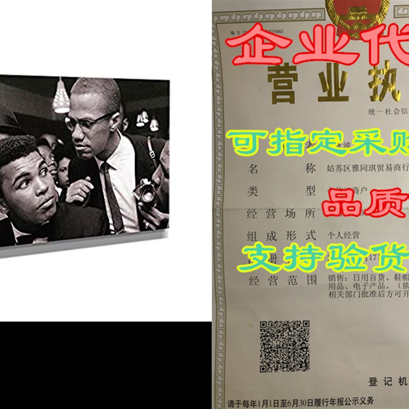 Muhammad Ali and Malcolm X in Meeting Canvas Print Decora
