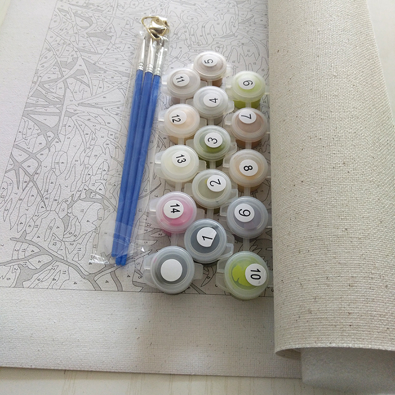 Frameless Colorful Lions Animals DIY Painting By Numbers Mod