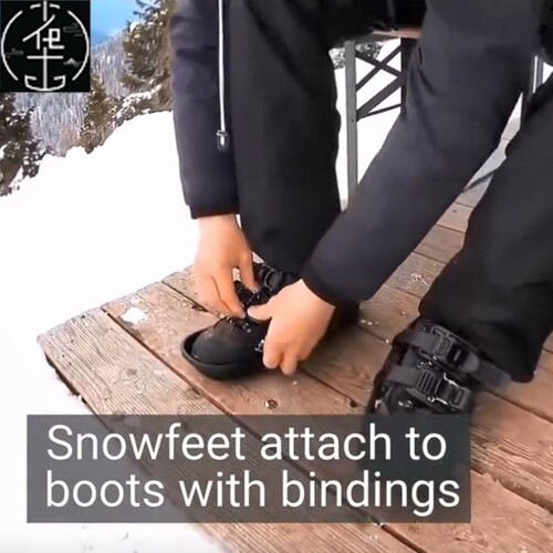 newNew Ski Skates Adjustable Bindings Skiing Shoes Snow Boar