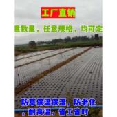 打孔地膜农用有孔塑料薄膜黑色除草保温蔬菜树苗种菜种植白银黑膜