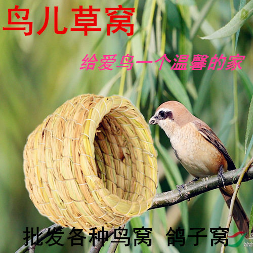 鸟窝鸟笼草窝牡丹文鸟珍珠虎皮