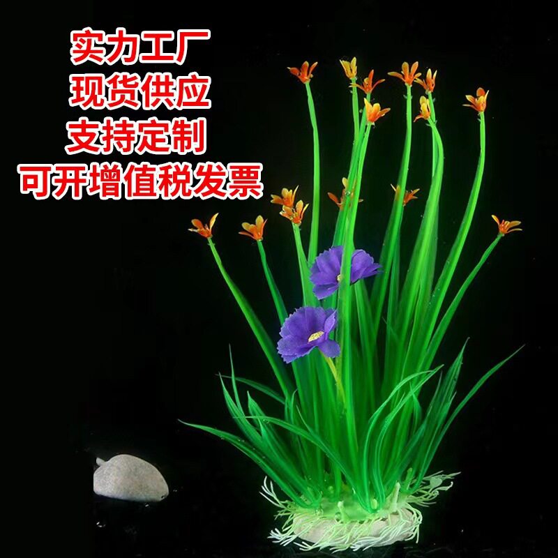 跨境货源鱼缸造景小水草装饰植物