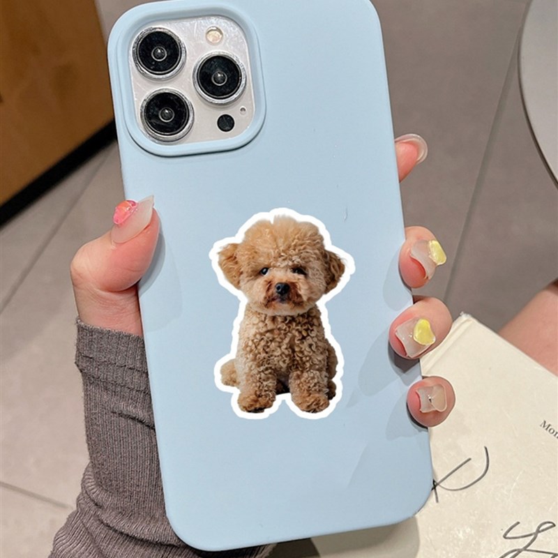 热销50张搞笑狗小憨憨狗萌宠可爱小狗动物贴纸装饰笔记本头盔相框