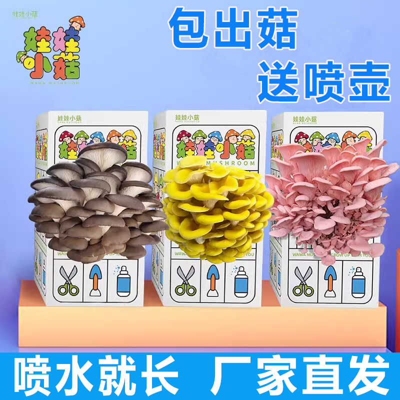 蘑菇种植包平菇菌种菌菇儿童种植菌包幼儿园DIY学校桌面趣味植物