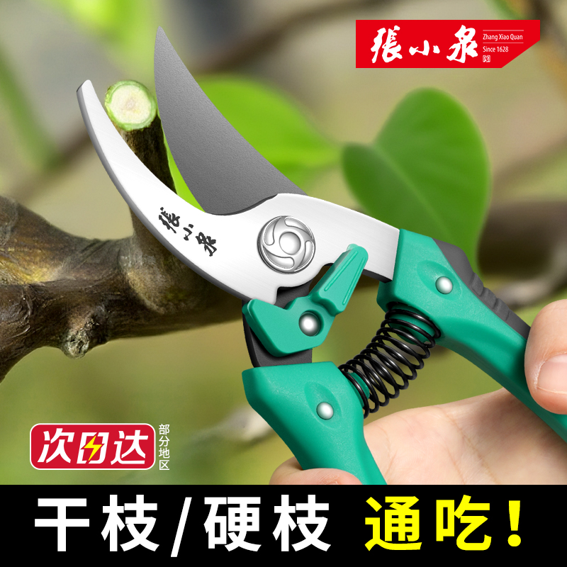 张小泉修枝剪刀果树园林专用