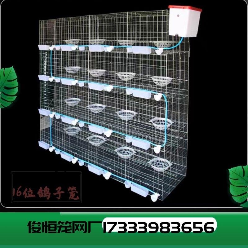 鸽子笼养殖笼16位全套笼具可定制欢迎咨询