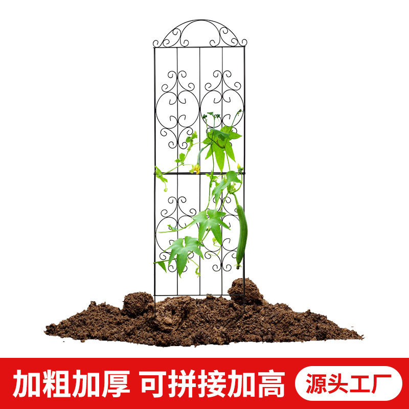 铁艺隔断爬藤架攀爬花支架爬藤支架花盆支架铁线莲爬藤花架花支撑